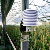 RK330-01 Outside One Air Temperature Humidity Sensor 4-20 mA Output With Solar Radiation Shield