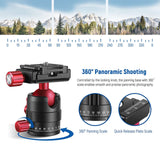 Camera Mini Ballhead Cold Shoes Microphone Tripod Head Ball Head with 1/4 Quick Release Plate for Tripod Monopod DSLR
