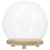 Luminous Micro Landscape Glass Dome Glass Cover Flower Plant Preserved Container