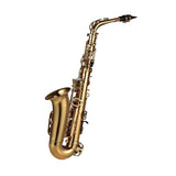 E Flat Alto Saxophone Brass Lacquered Wind Instrument with Carry Case Gloves Straps Cleaning Cloth Brush Mouthpiece Pad Mouthpiece Brush