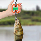 Digital Hanging Scale 150kg/ 330lb Crane Scale LCD Backlight Steel Hook Scales for Farm Fishing Hunting Food Market Outdoor Work