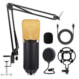 Professional BM700 USB Microphone Home Stereo Sound Recording Condenser PC Microphone for Party Online Meeting Karaoke Vocal mic
