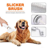 Pet Hair Dryer 2021 New Improved Model Cat &amp; Dog Dryer with Brush Professional Home Grooming Blow Drying for Small Large Cat