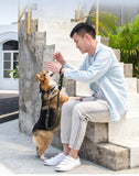Reflective Dog Leash Nylon Dog Cat Lead Puppy Traction Rope Belt Elastic Dog Leash for Small Medium Dogs Pet Supplies