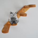 Pet Stairs Step Cat Climbing Ladder Wall Stair Ladder Puppy Pet Training Toys Cat Play Furniture Small Animals Using