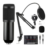 Professional Microphone XLR Wired Handheld Mic Vocals Recording Studio Condenser Microphone for Gaming PC Karaoke Portable Mic