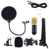 Microphone Recording Studio Broadcast Recording Condenser Microphone With Frame And USB Connector Microphones