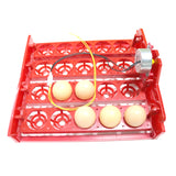 20 Egg Incubator Turn Eggs Tray Eggtester Automatic Incubator Controller Experimental Teaching Equipment
