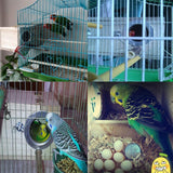 Parakeet Nest Box Bird Cage Natural Pine Wood Bird Nest Breeding Box Cage for Budgie Parrot Bird Egg Nest Bird Cage Accessories