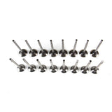 03C109601J 03C109611G EA111 Engine Intake &amp; Exhaust Valve Kit Fit For V-W Je-tta 11-18 CMSB CLRA