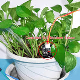 Automatic Self-Watering for Garden Patio Lawn Plant Flower Herb Potted Device
