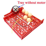20 Egg Incubator Turn Eggs Tray Eggtester Automatic Incubator Controller Experimental Teaching Equipment