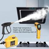 110V 220V High Temperature Steam Cleaner For Hood Air Conditioner Car Mobile Cleaning Machine Pumping Sterilization Disinfector