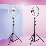 Studio Live Led Ring Light LED Ring Light With Phone Holder And Tripod 12W 2700K-6500K For Phone Selfie Light Photograph