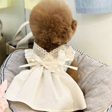 New Summer Dress for Dog Pets Dog Clothes Handmade Teddy Wedding Dress Skirt Puppy Clothing Spring Dresses for Dogs Skirt Clothe