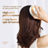 EMS Scalp Applicator Comb LED Electric Massage Head Hair Growth Treatment Liquid Serum Oil Brush for Prevent Hair Loss Tool