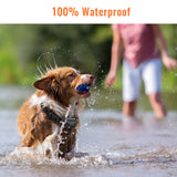 Petrainer 619A-1 800M Electric Dog Collar Remote Dog Training Collar With Vibration Beep Shock Collar For Dog Training