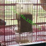 1 pcs Bird automatic Feeder The whole cast, durable Capacity 400g For aviculture enthusiasts Bebederos Aves Bird Supplies