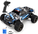 PUXIDA RC Car LR-C004R Remote Control Car 1:18 4ch 2.4ghz 15km/h Off Buggy Off-Road Control Trucks Boys Toys for Children