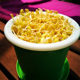 Household Bean Sprouts Making Pot Bean Sprouts Cans Sprouts Planting Barrels High Quality Bean Sprouts Breeding Pot