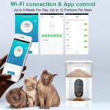 4L/6L WiFi Pet Dog Cat Food Dispenser Automatic For dogs cats accessories with Sound Recording Function Timer APP Remote Control