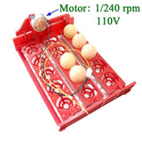 15 Eggs Mini Incubator Automatically Turn Eggs Tray 220V/110V/12V Laboratory Family Incubator Poultry Bird Incubator Equipment