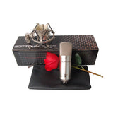 Gottomix BC400 PC large diaphragm condenser recording vocal microphone For recording studio,radio station,family Karaoke