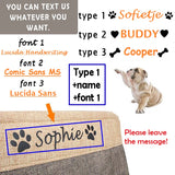 Personalized Pet Toy Storage Basket Toy Clothes Bin Dog Custom Name DIY Canvas Collapsible Box Free Print ID Pet Accessories