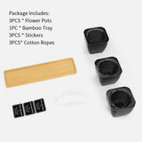 3pcs Windowsill Home Decor Balcony With Bamboo Tray Translucent Black Stickers Ropes Office Flower Pot Set Living Room Succulent