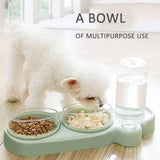 Automatic Cat Bowl Water Dispenser Water Storage Pet Dog Cat Food Double Bowl Food Container with Waterer Pet Waterer Feeder