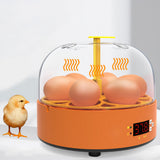 6 Eggs Children Experimental Eggs Incubator Chicken Incubator Eggs Hatching Machine Temperature Control Children Gift