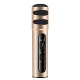 Musical Microphone Portable Handheld Karaoke Mic Speaker Machine for Christmas Birthday Home Party Golden