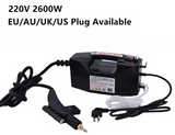 110V 220V Electric Steaming Cleaner 2600W/3000W Available Steam Cleaning Machine EU/AU/UK/US Plug