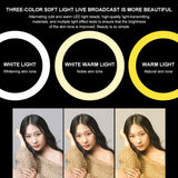 20cm Fill Ring Light For Mobile Phone Computer Brightness Adjustable Selfie Lights Live Broadcast Video Fill Light Beauty