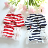 New Cat Dog Dress Puppy Skirt Tutu Dogie Small Dog Clothes Summer Yorkshire Chihuahua Maltese Pomeranian Clothing Pet Dresses XS