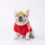 Designer Dog Clothes Small Medium-sized Chihuahua French Bulldog Sweatshirt Clothes Autumn Winter Fashion Zipper Pullover Jacket