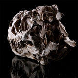 T-Rex Skull Dinosaur Resin Craft Gifts Home Decor Replica Fish Tank Statue Tyrannosaur Skull Skeleton Aquarium Decoration