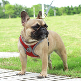 Pet Dog harness dog leash nylon Reflective Vest harness for small big dogs Chihuahua husky Teddy Chest Strap dog supplies XS-L