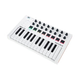 Arturia MiniLab MKII small controller USB-powered design for musicians on the move and studios
