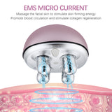 EMS Facial Lifing Device Tighten Skin Roller Vibration Face Slimming  Massager Moisturize Double Chin Remove V-Face Lift Device