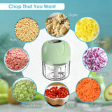 100Ml Mini Electric Garlic Food Vegetable Chopper Squeezer Meat Grinder Chili Meat Masher Machine Garlic Artifact