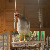 Chicken Swing Toy for Coop Natural Safe Wooden Accessories Handmade Durable Perch Ladder Birds Entertainment Stress Relief