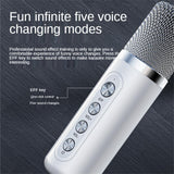 Ys203 100w High-Power Wireless Portable Microphone Bluetooth-Compatible Speaker Outdoor Family Party Karaoke Box Subwoofer