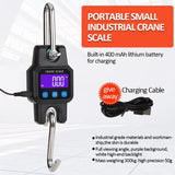 Crane Scale 100/150/300/500kg Crane Scale Heavy Duty Hanging Hook Scales Stainless Steel Weighing Balance with LCD Backlight