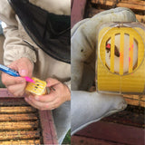 10pcs Bee Queen Marking Catcher Plastic One Handed Marker Bottle Plunger Plush Beekeeper Tool Garden Beekeeper Queen Bee Catcher