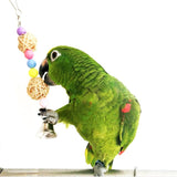 15Pcs/Set Pet Parrot Wooden Swing Chewing Toys Hanging Bell Stand Perch Toy for Parakeets Cockatiels Bird Training Supplies C42