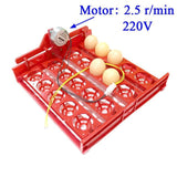 20 Egg Incubator Turn Eggs Tray Eggtester Automatic Incubator Controller Experimental Teaching Equipment