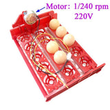 15 Eggs Mini Incubator Automatically Turn Eggs Tray 220V/110V/12V Laboratory Family Incubator Poultry Bird Incubator Equipment