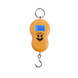 Portable 50Kg 10g Hanging Scale Digital Scale BackLight Electronic Fishing Weights Pocket Scale Luggage Scales Travel Weighting