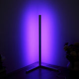 LED Floor Lamp Standing Lamps Modern Simple 5050 30 LED Standing Lights Modern Style Iron Painted Floor Lamp